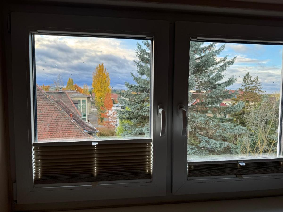 205 Qm "Traumtor" Mit Sauna, Whirlpool, Kamin Und 3 Terrassen Mit Blick In Die Boehmisch Saechsische Schweiz Drezda Kültér fotó